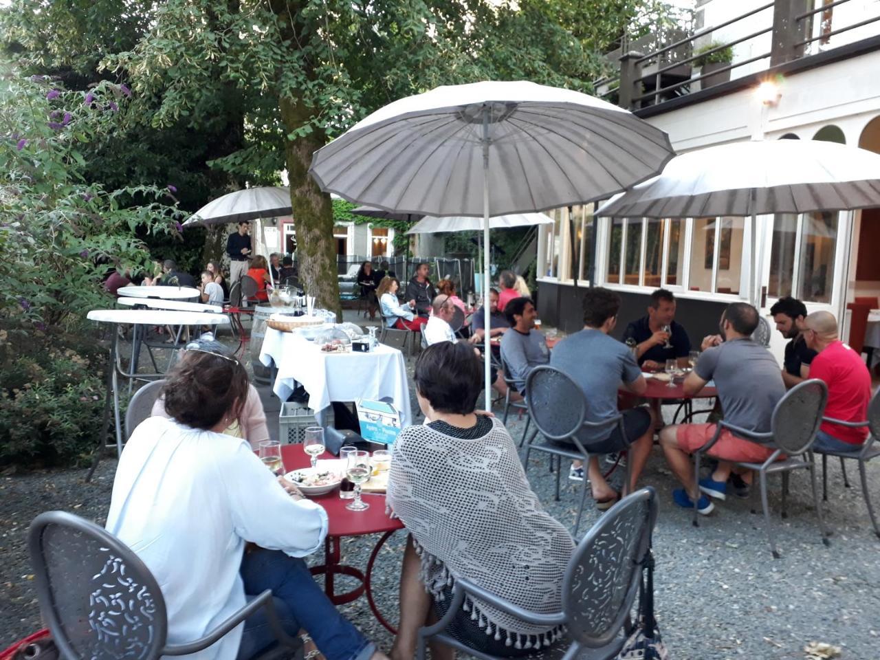 Hotel Au Pavillon du Frêne à Lacaune Extérieur photo